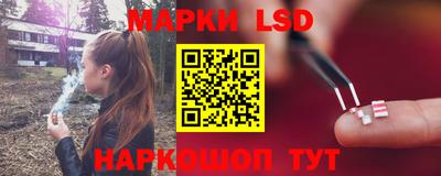 прущие грибы Комсомольск-на-Амуре
