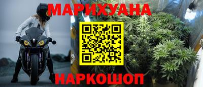 прущие грибы Комсомольск-на-Амуре