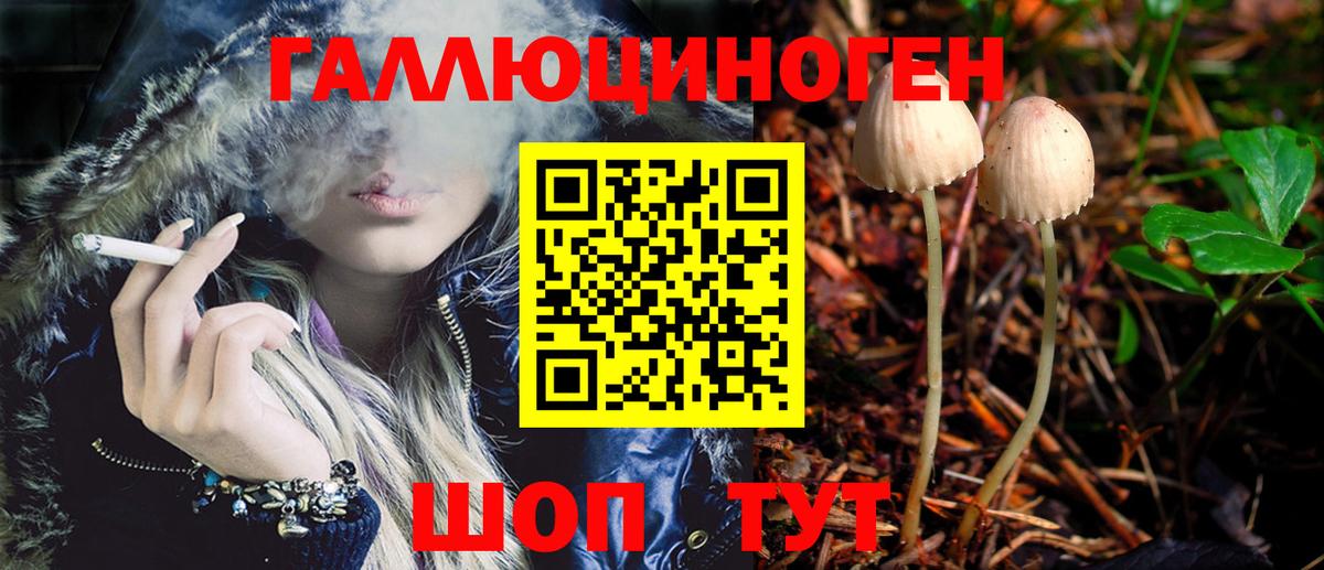 Конаково  Галлюциногенные грибы GOLDEN TEACHER  Вход с VPN 